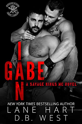 Gabe and Ian book cover