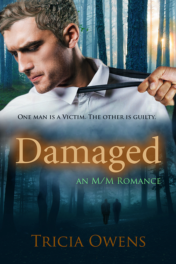 Damaged book cover