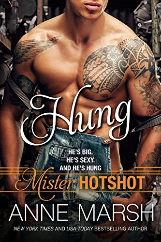 Mister Hotshot book cover 1