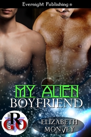 My Boyfriend Is… book cover 3
