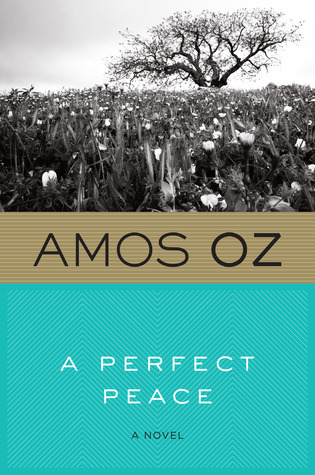 A Perfect Peace book cover