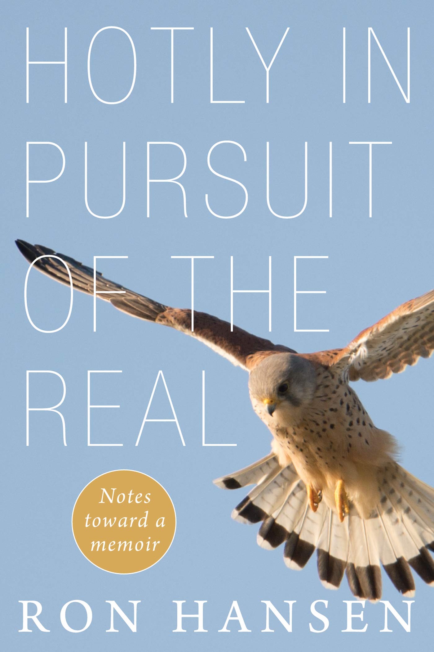Hotly in Pursuit of the Real book cover