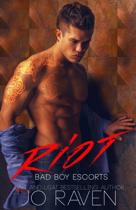 Riot book cover
