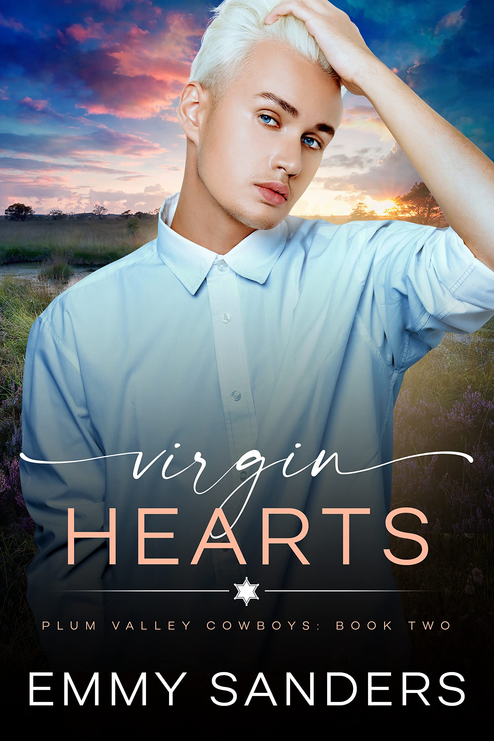Plum Valley Cowboys book cover 2