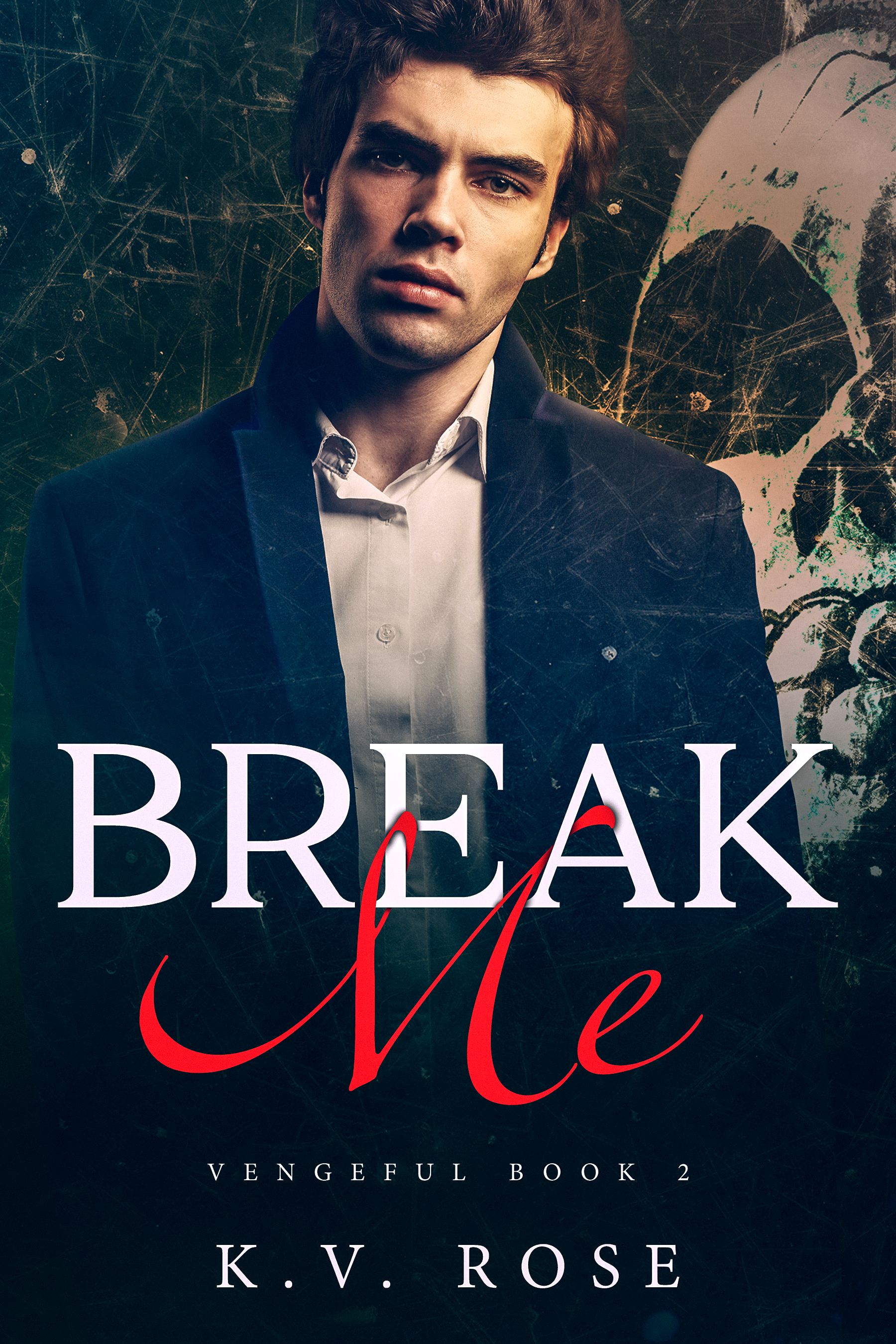 Vengeful book cover 2