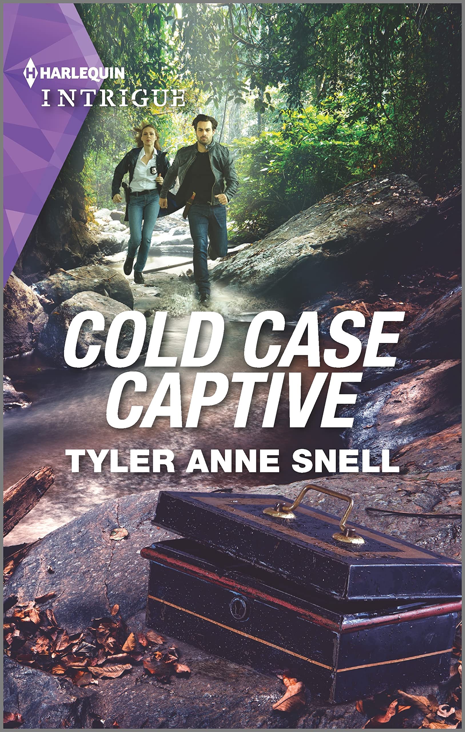 Cold Case Captive book cover