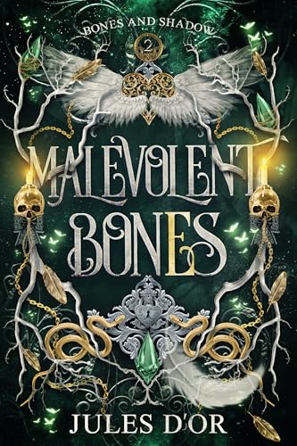 Bones and Shadow book cover 2