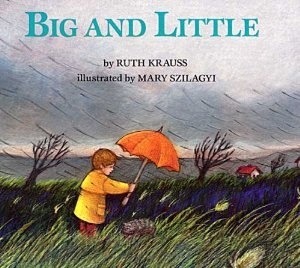 Big and Little book cover