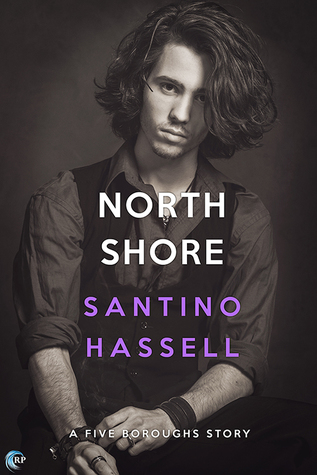 North Shore book cover