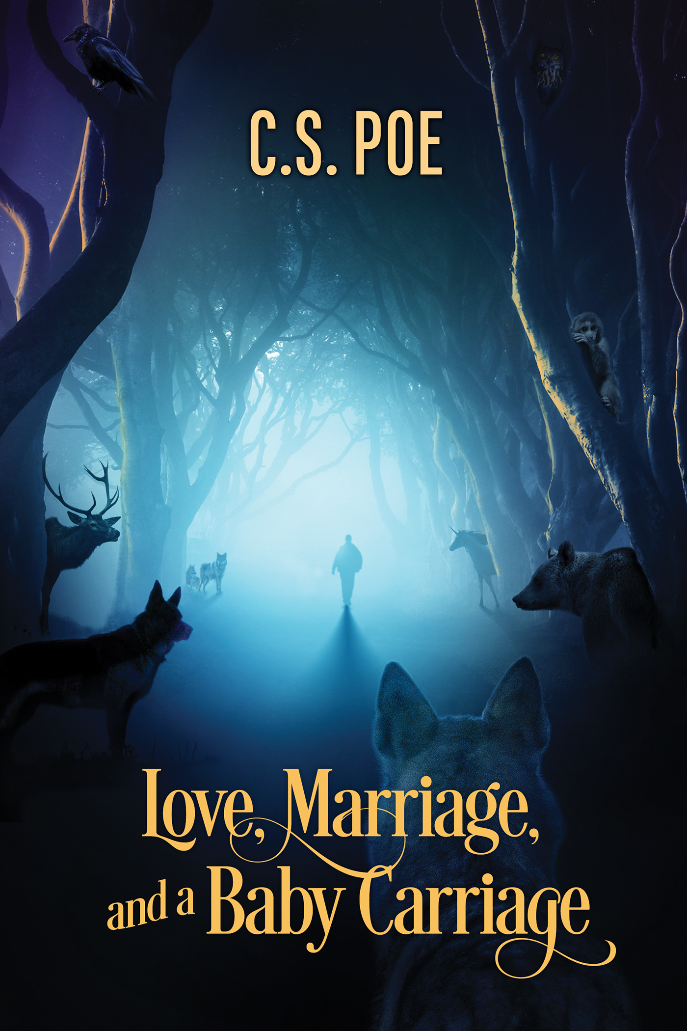 Love, Marriage, and a Baby Carriage book cover