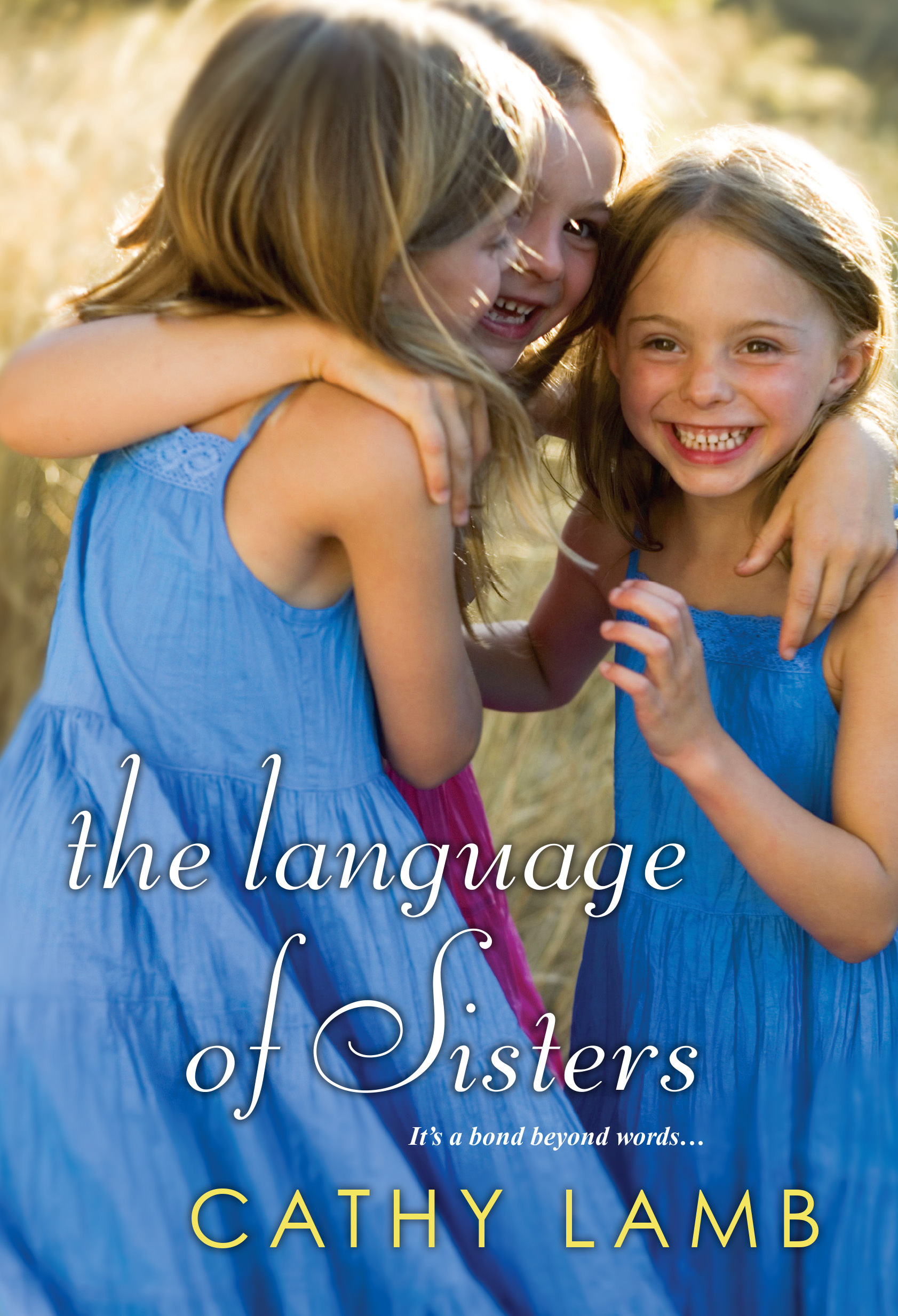 The Language of Sisters book cover