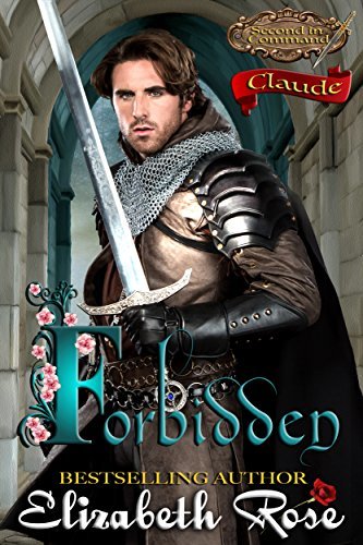 Forbidden book cover