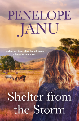 Shelter from the Storm book cover