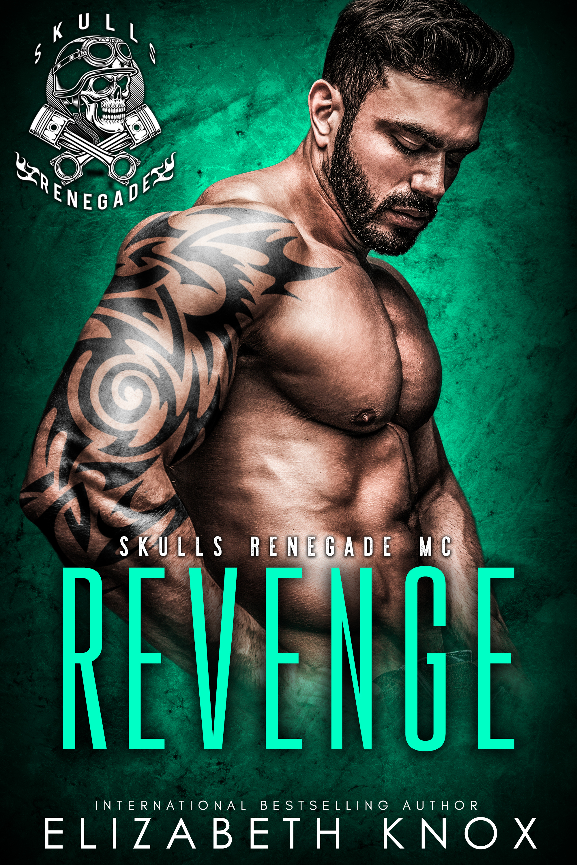 Skulls Renegade MC book cover 3