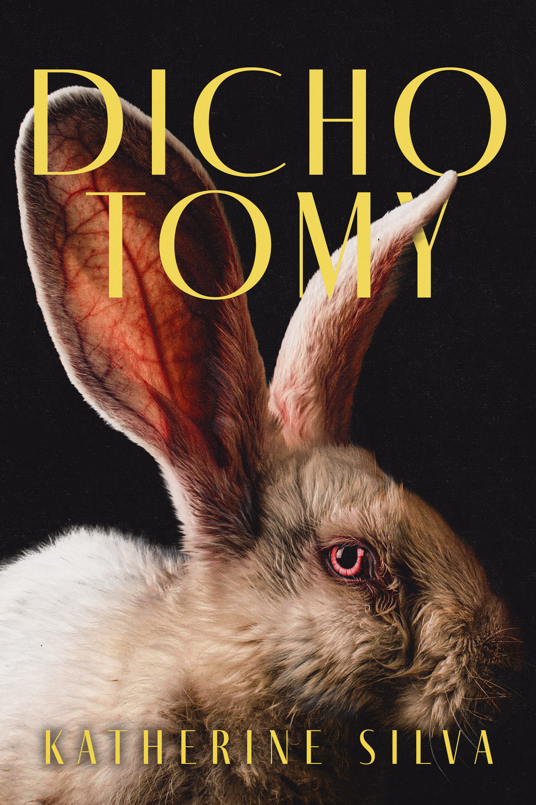 Dichotomy book cover