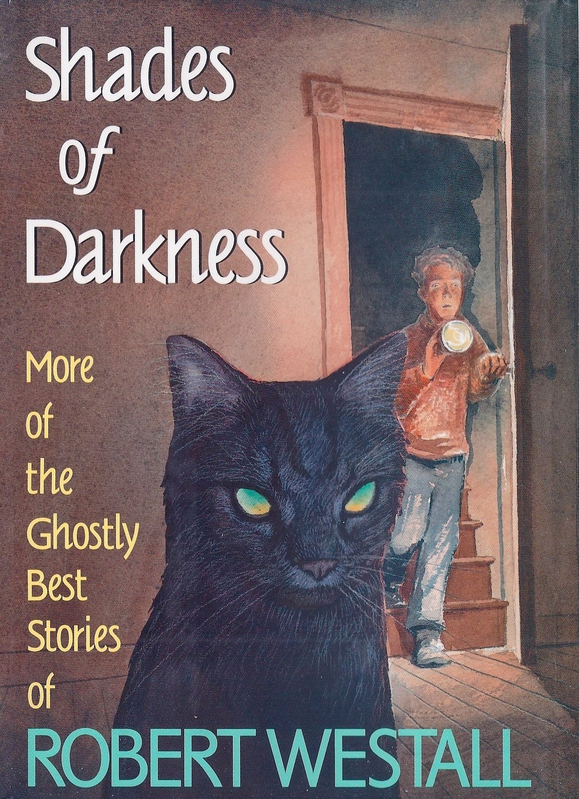 Shades of Darkness book cover