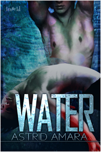 The Valde book cover