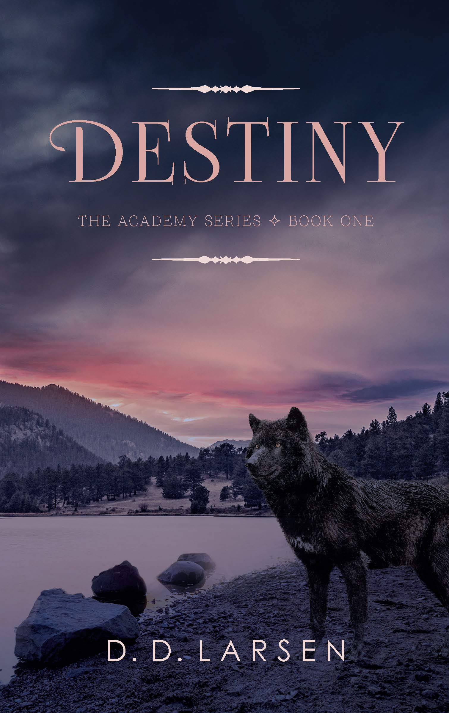 The Academy book cover 1