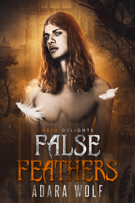False Feathers book cover