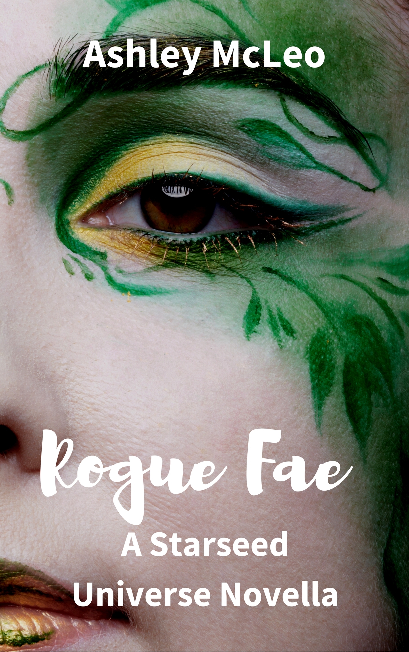 Rogue Fae book cover