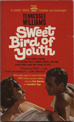 Sweet Bird of Youth book cover