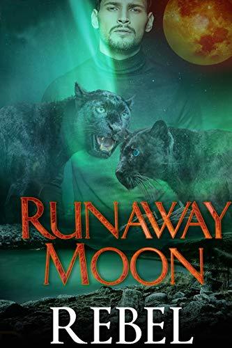 Runaway Moon book cover