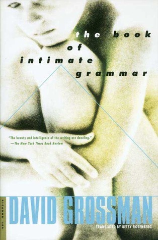 The Book of Intimate Grammar book cover