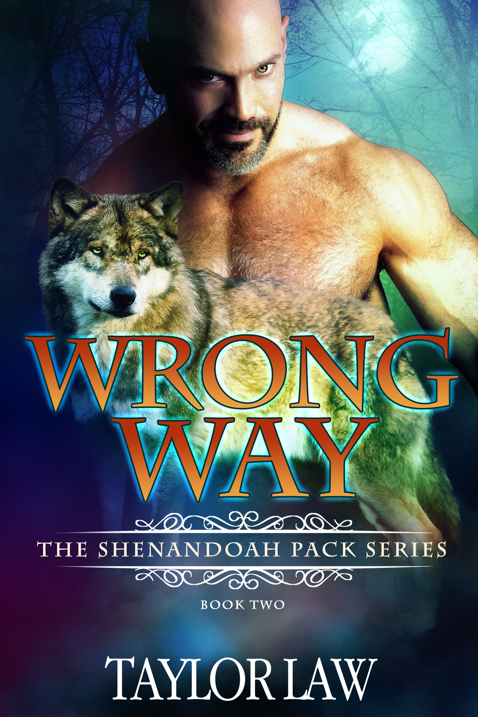 The Shenandoah Pack book cover 2