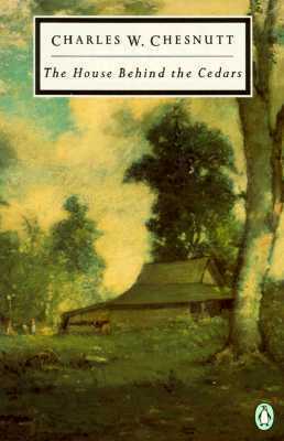 The House Behind the Cedars book cover