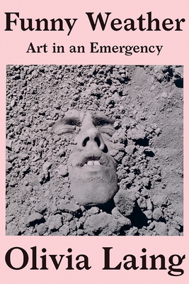 Funny Weather book cover