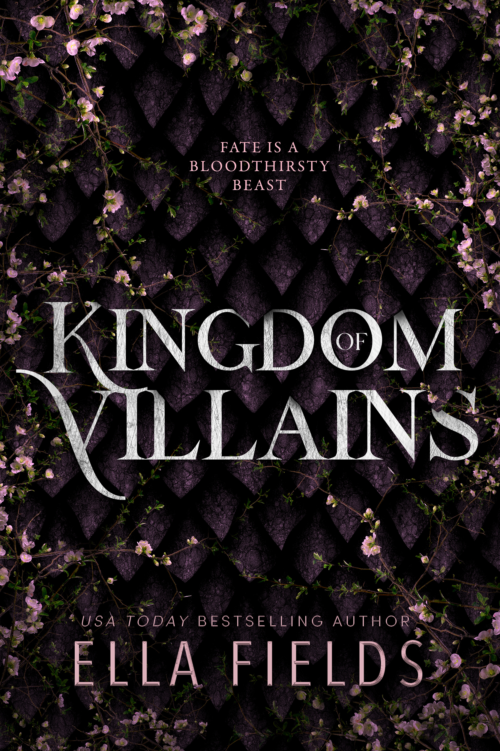 Kingdom of Villains book cover