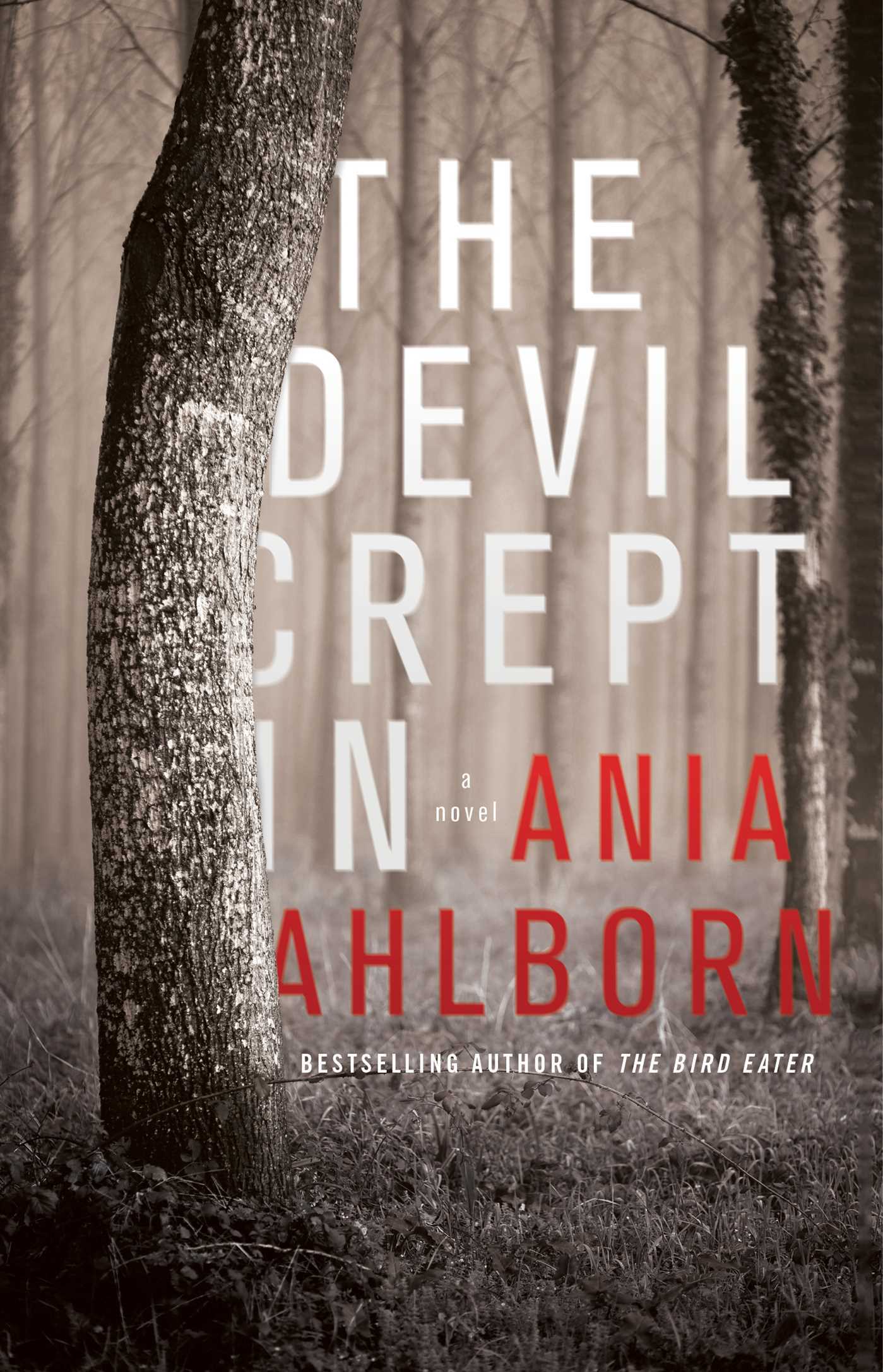 The Devil Crept In book cover