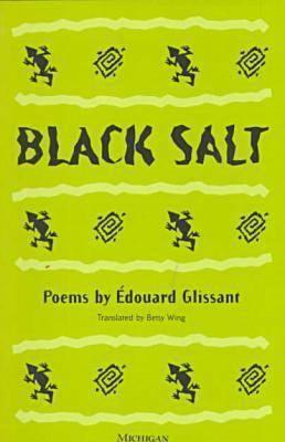 Black Salt book cover
