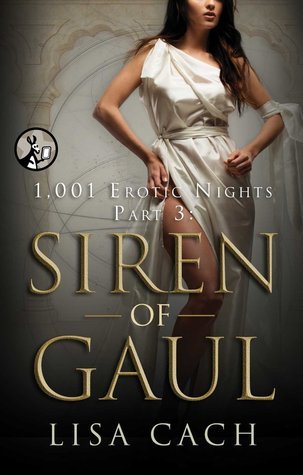1,001 Erotic Nights book cover 3