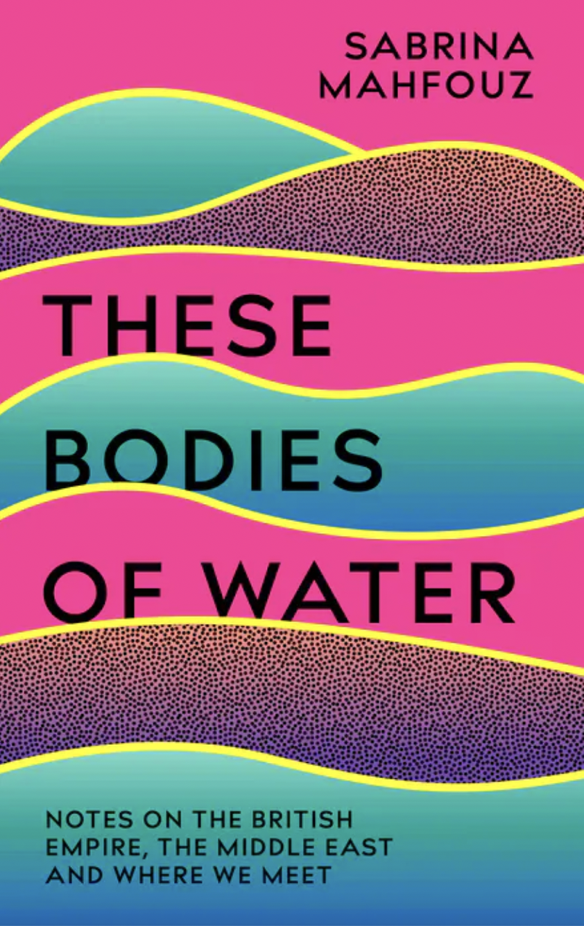 These Bodies of Water book cover