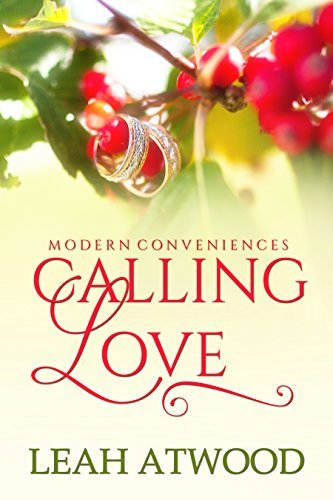 Modern Conveniences book cover 2