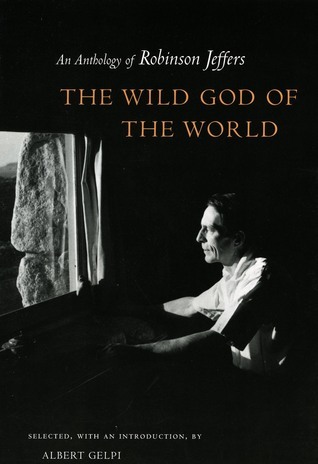 The Wild God of the World book cover