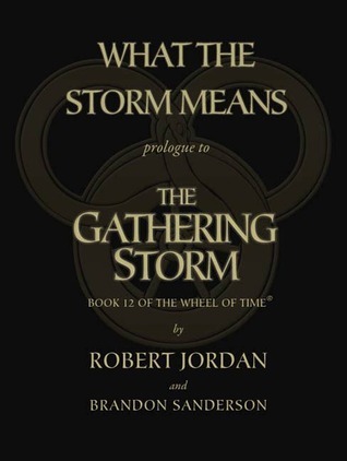 What the Storm Means book cover