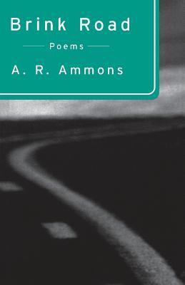Brink Road book cover