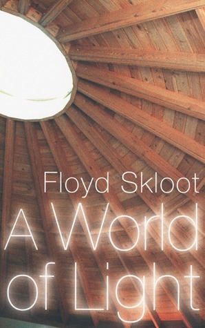 A World of Light book cover