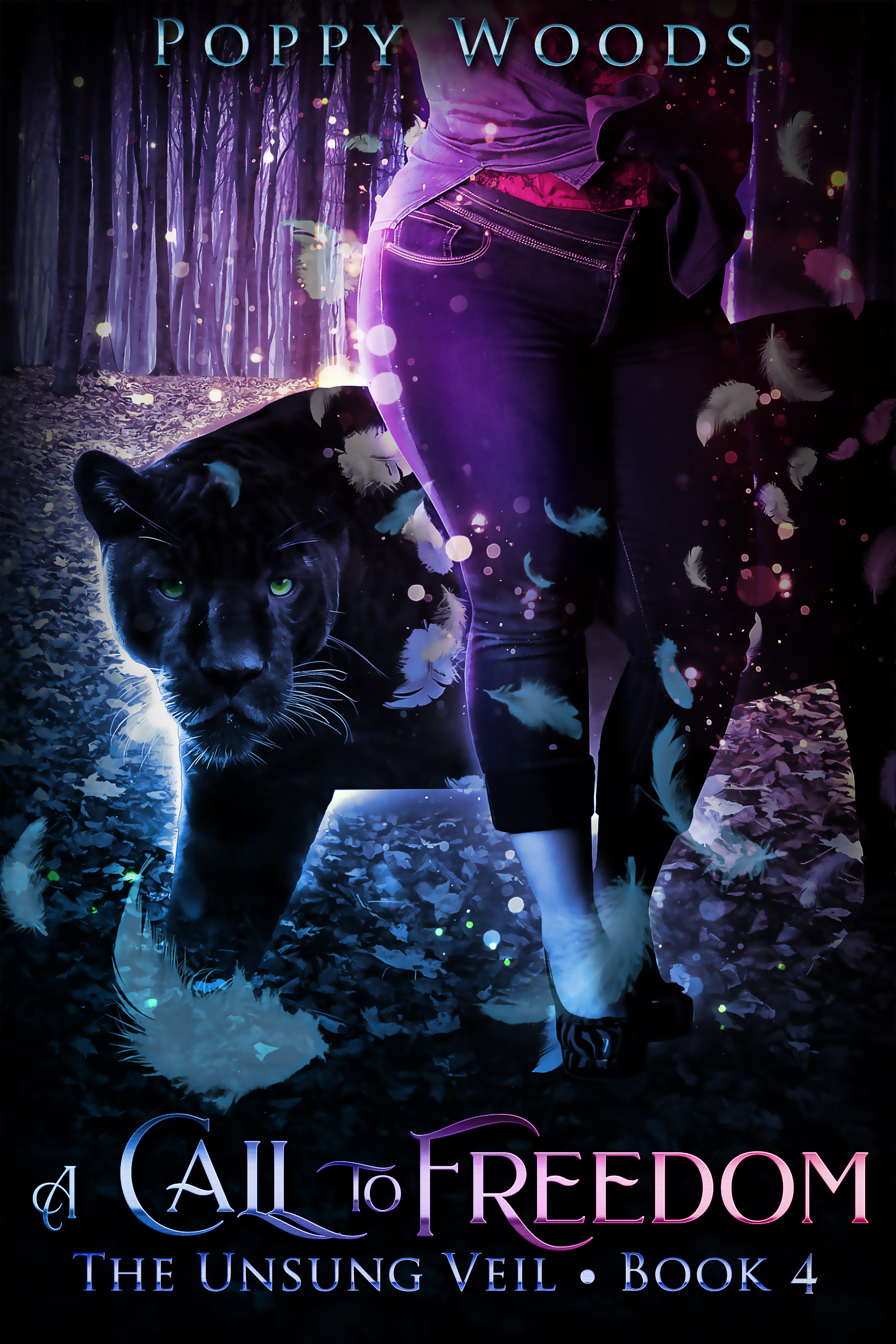 Unsung Veil book cover 3
