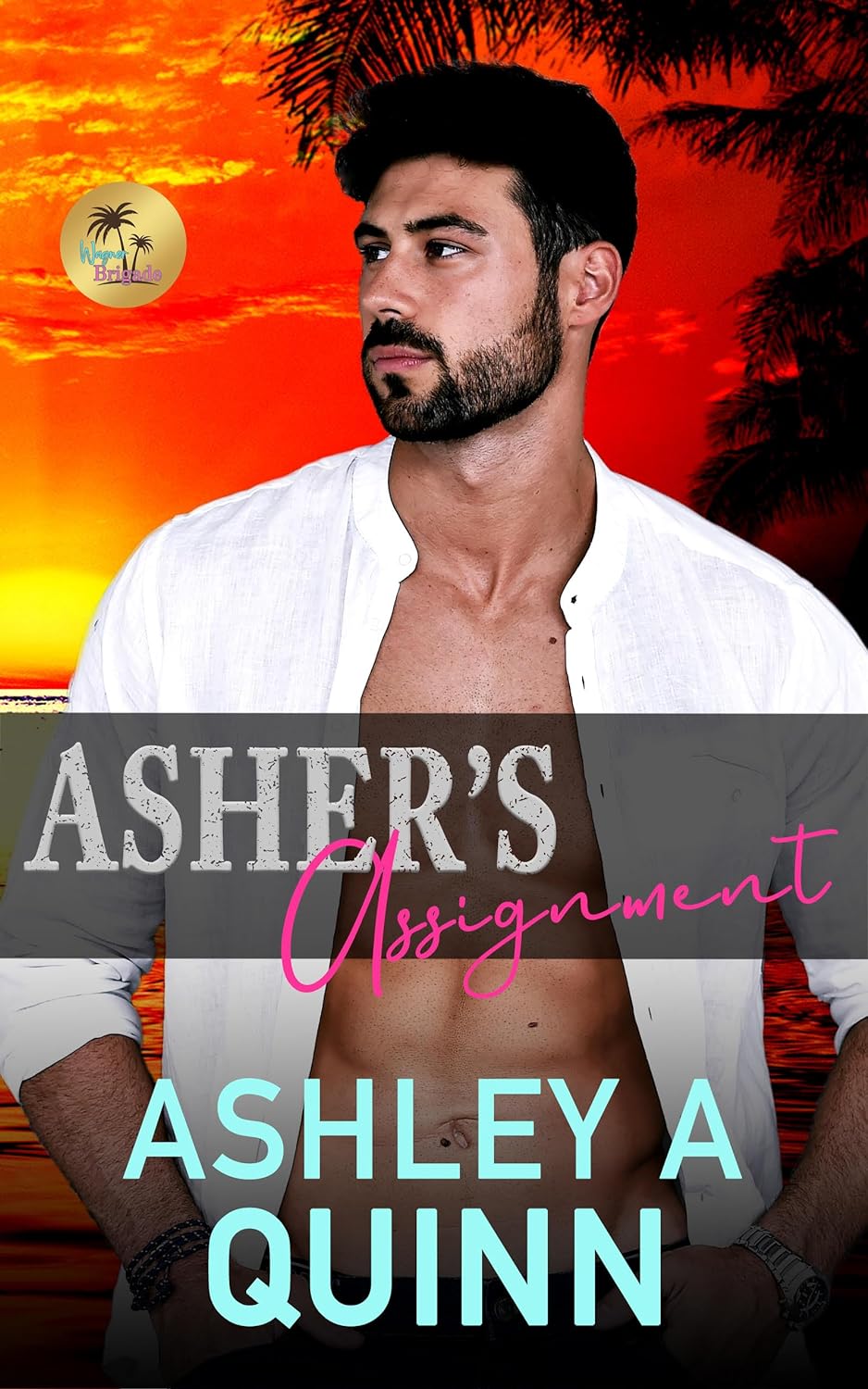 Asher's Assignment book cover
