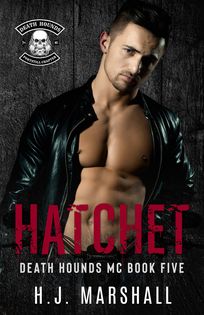 Hatchet book cover