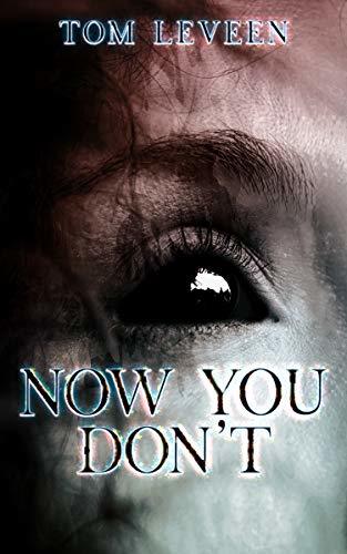 Now You Don't book cover