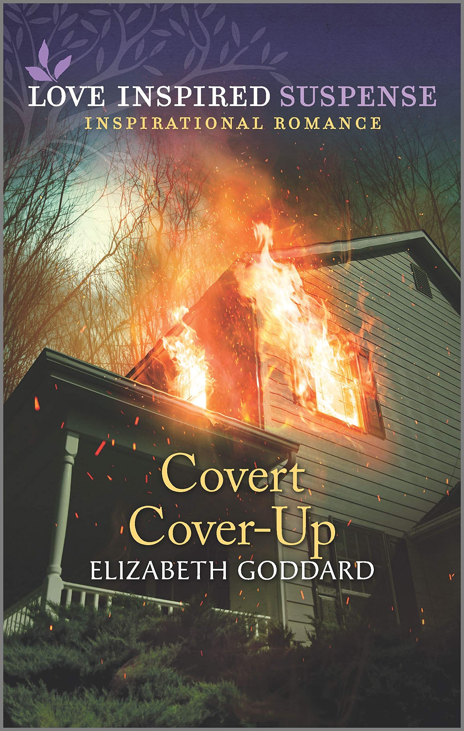Mount Shasta Secrets book cover 2