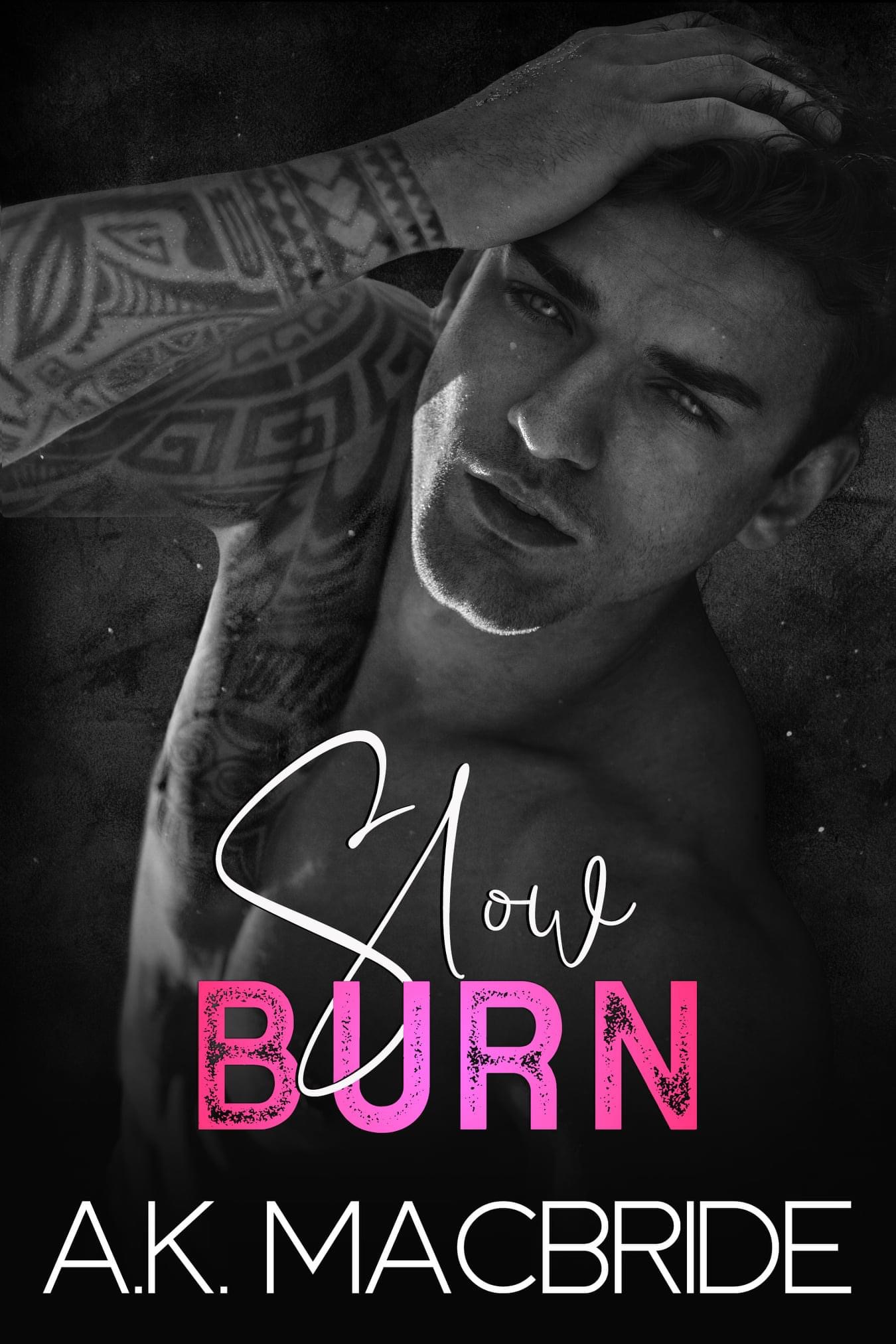 Slow Burn book cover