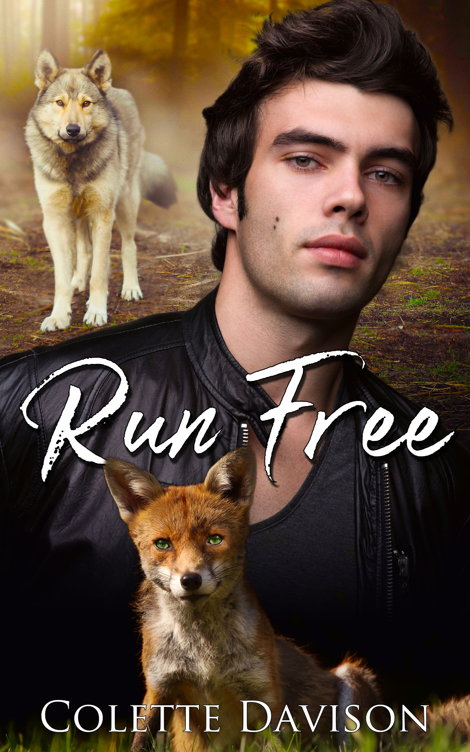 Run Free book cover