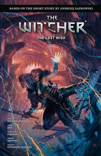Andrzej Sapkowski’s The Witcher book cover 3