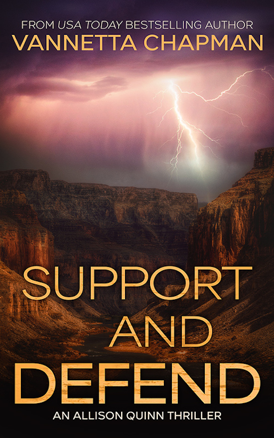 Allison Quinn book cover 1