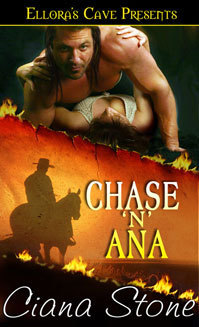 Hot in the Saddle book cover 1
